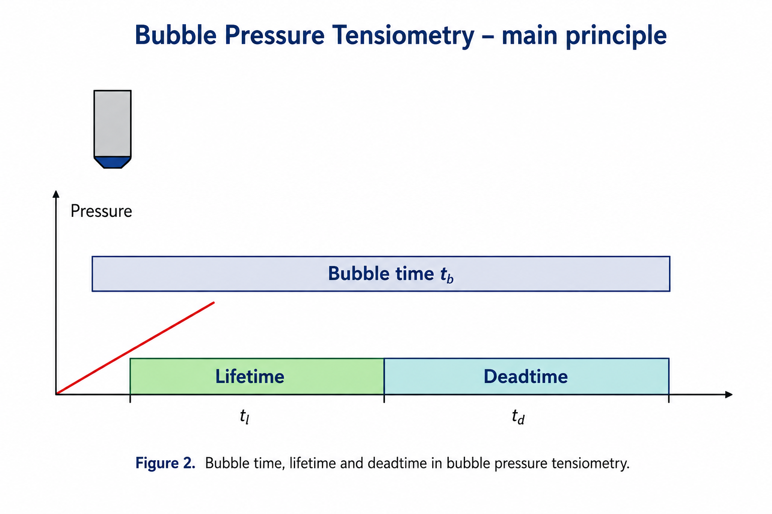 Bubble time, lifetime and deadtime in bubble pressure tensiometry.